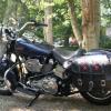 Tony Dominy G3 Img0278