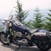 Tony Dominy G3 Img0338